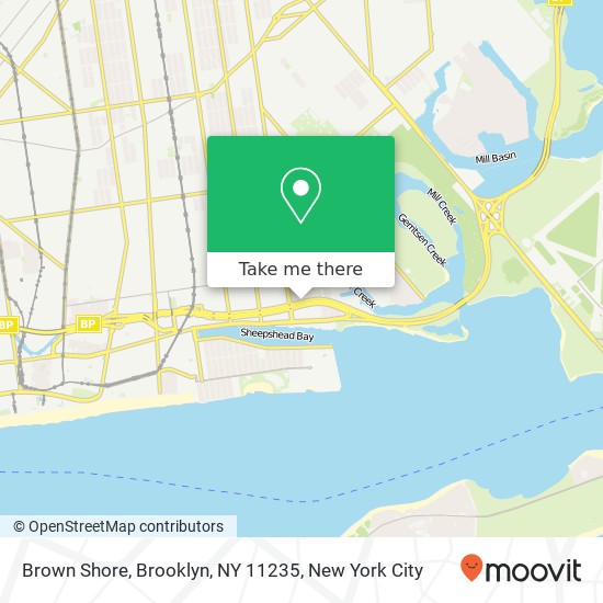 Mapa de Brown Shore, Brooklyn, NY 11235