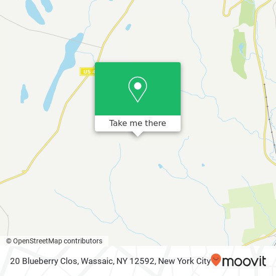 20 Blueberry Clos, Wassaic, NY 12592 map