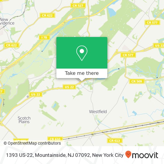 1393 US-22, Mountainside, NJ 07092 map