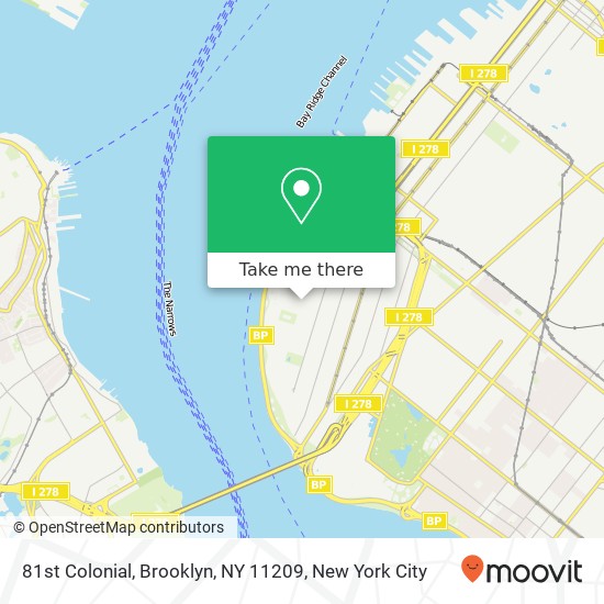 81st Colonial, Brooklyn, NY 11209 map