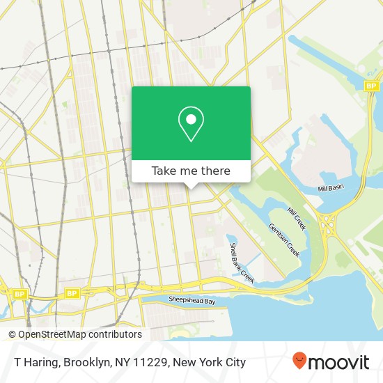 T Haring, Brooklyn, NY 11229 map