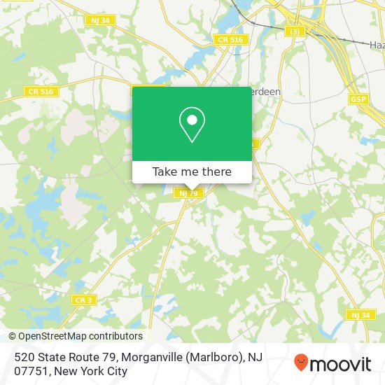 520 State Route 79, Morganville (Marlboro), NJ 07751 map