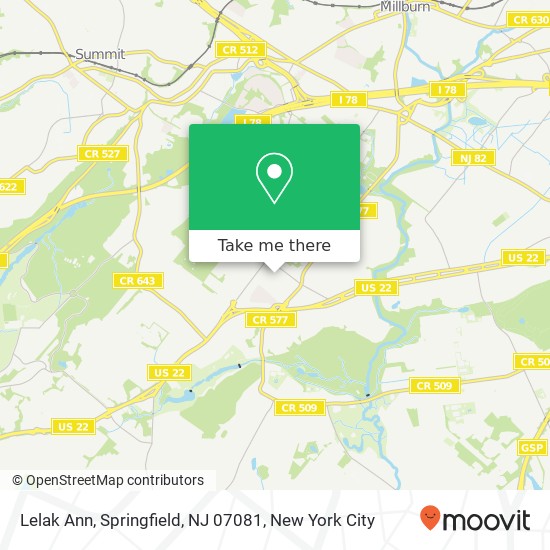 Lelak Ann, Springfield, NJ 07081 map