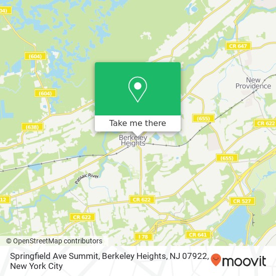 Springfield Ave Summit, Berkeley Heights, NJ 07922 map