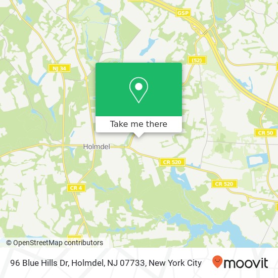 96 Blue Hills Dr, Holmdel, NJ 07733 map