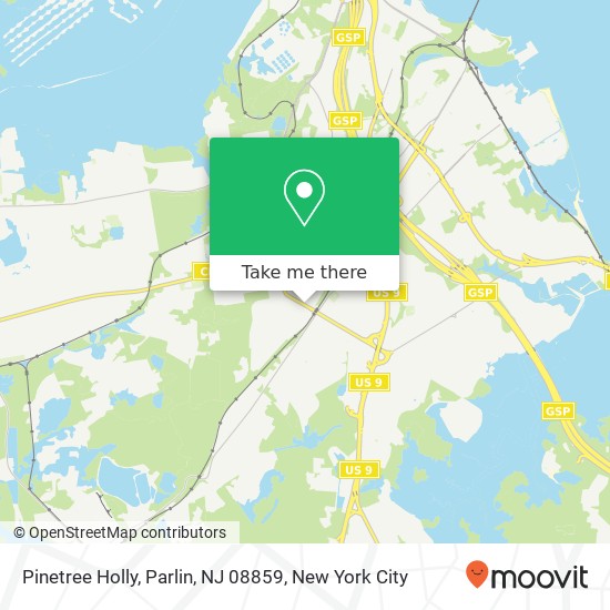 Pinetree Holly, Parlin, NJ 08859 map