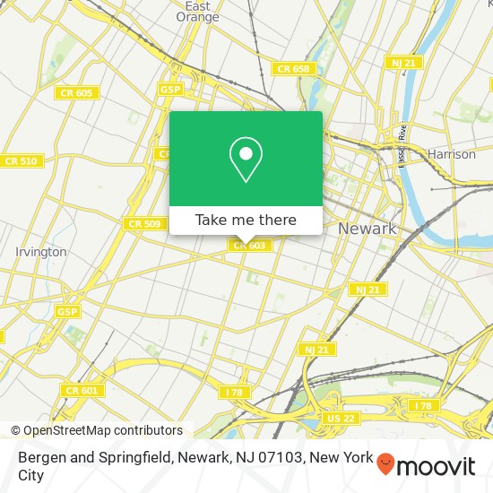 Bergen and Springfield, Newark, NJ 07103 map