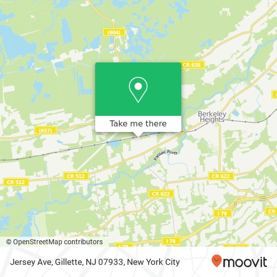 Jersey Ave, Gillette, NJ 07933 map
