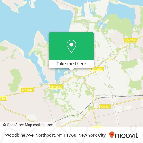 Mapa de Woodbine Ave, Northport, NY 11768