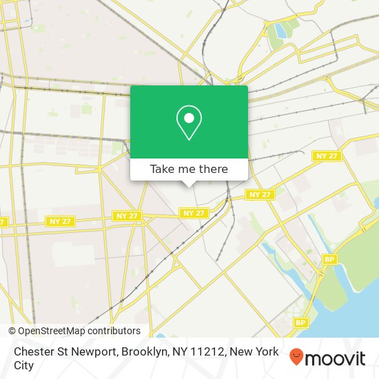 Chester St Newport, Brooklyn, NY 11212 map