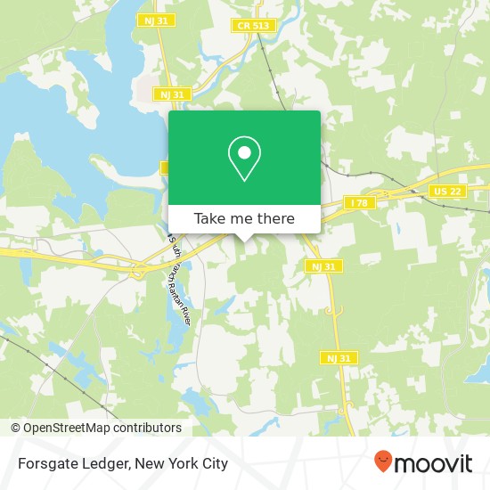 Mapa de Forsgate Ledger, Annandale, NJ 08801