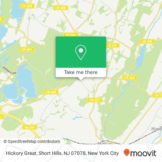 Mapa de Hickory Great, Short Hills, NJ 07078