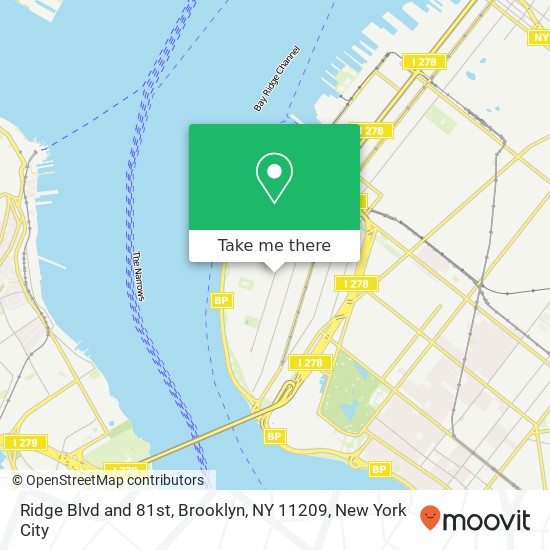 Ridge Blvd and 81st, Brooklyn, NY 11209 map