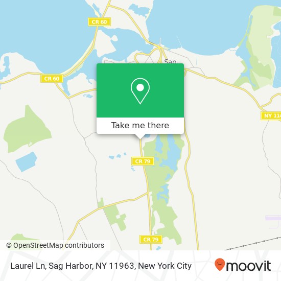 Mapa de Laurel Ln, Sag Harbor, NY 11963