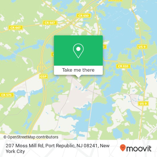 Mapa de 207 Moss Mill Rd, Port Republic, NJ 08241