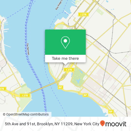 5th Ave and 91st, Brooklyn, NY 11209 map