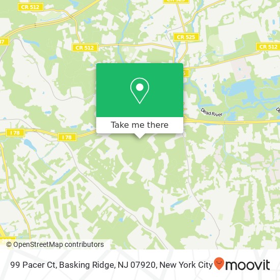 99 Pacer Ct, Basking Ridge, NJ 07920 map