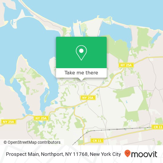 Prospect Main, Northport, NY 11768 map
