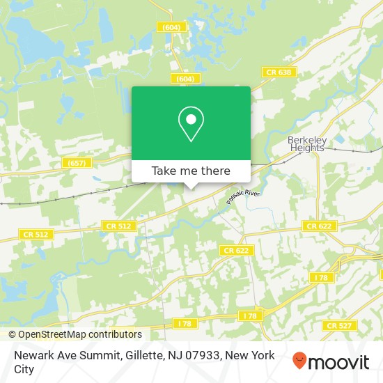 Newark Ave Summit, Gillette, NJ 07933 map