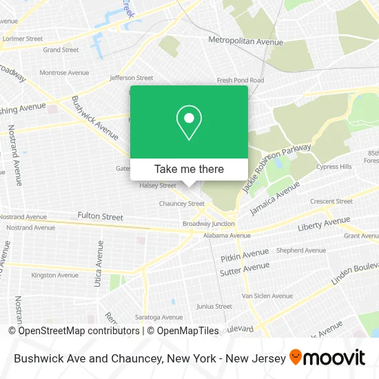 Bushwick Ave and Chauncey map