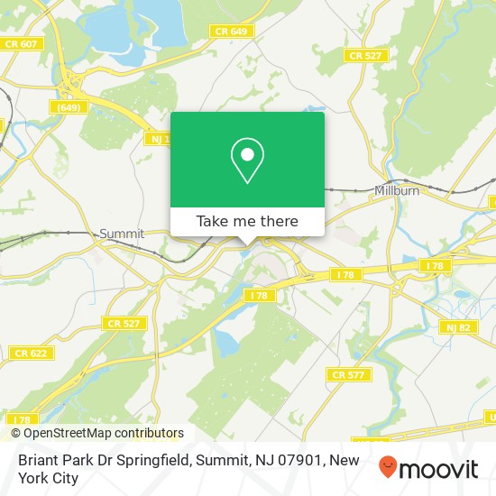 Briant Park Dr Springfield, Summit, NJ 07901 map