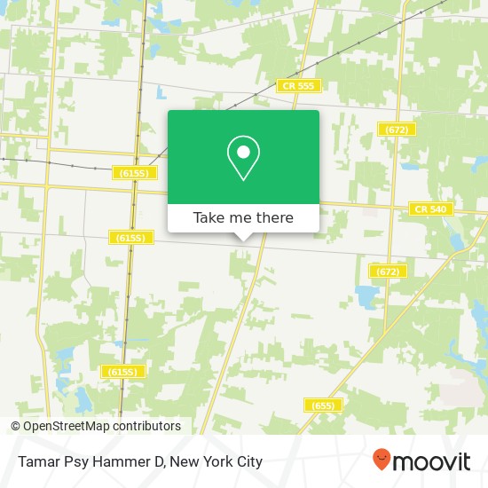 Tamar Psy Hammer D, 1138 E Chestnut Ave map