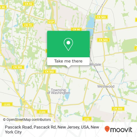 Pascack Road, Pascack Rd, New Jersey, USA map