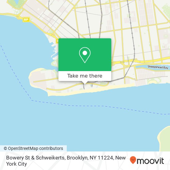 Mapa de Bowery St & Schweikerts, Brooklyn, NY 11224