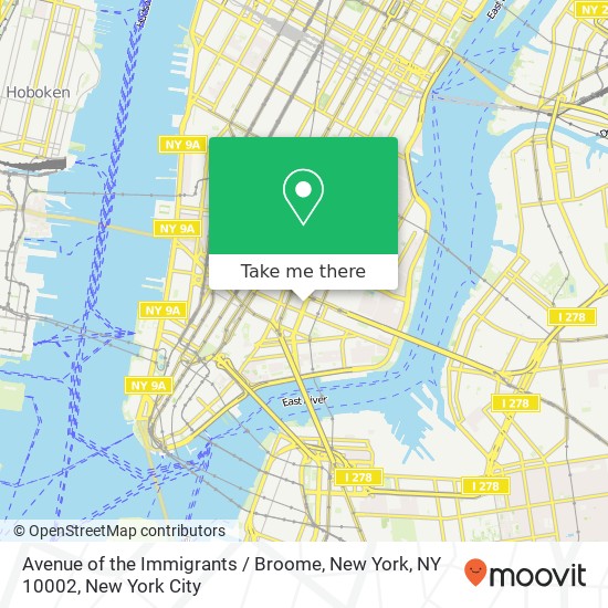 Avenue of the Immigrants / Broome, New York, NY 10002 map