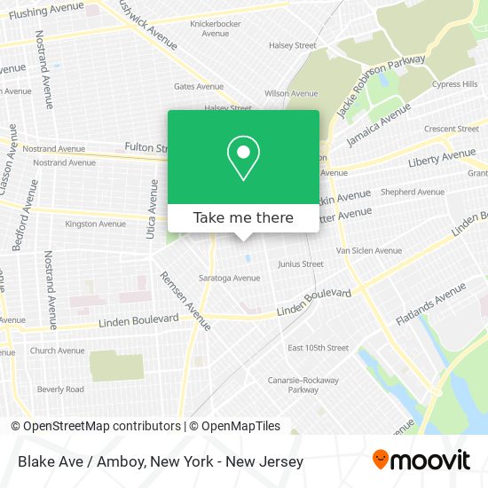 Mapa de Blake Ave / Amboy