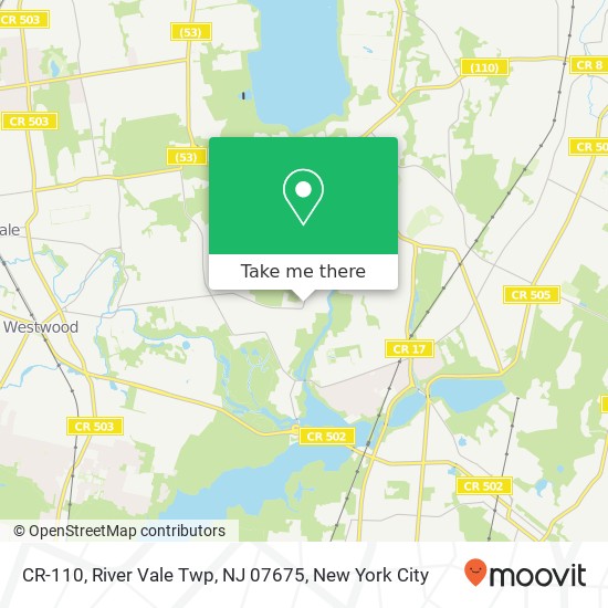 Mapa de CR-110, River Vale Twp, NJ 07675