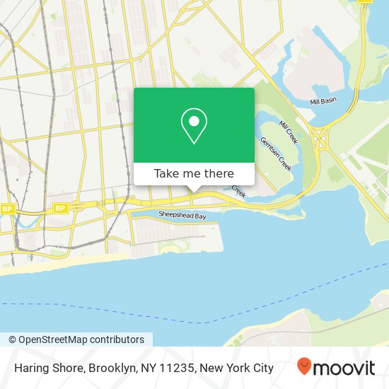Haring Shore, Brooklyn, NY 11235 map