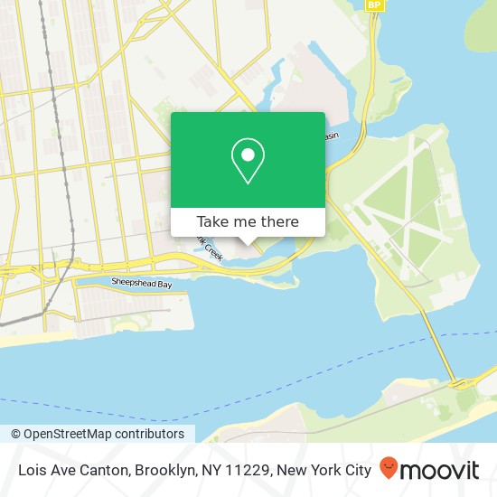 Lois Ave Canton, Brooklyn, NY 11229 map