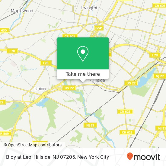 Bloy at Leo, Hillside, NJ 07205 map