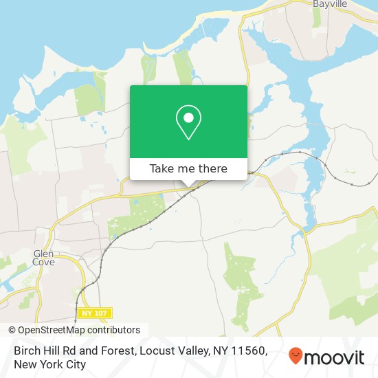 Birch Hill Rd and Forest, Locust Valley, NY 11560 map