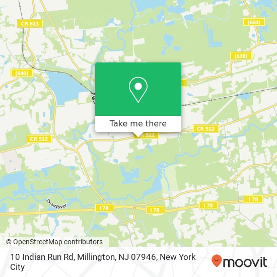 10 Indian Run Rd, Millington, NJ 07946 map