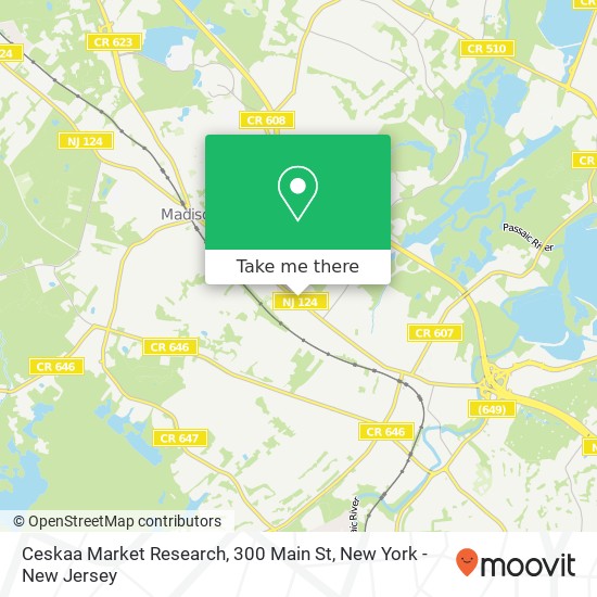 Mapa de Ceskaa Market Research, 300 Main St
