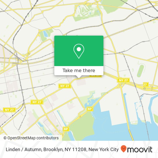 Mapa de Linden / Autumn, Brooklyn, NY 11208