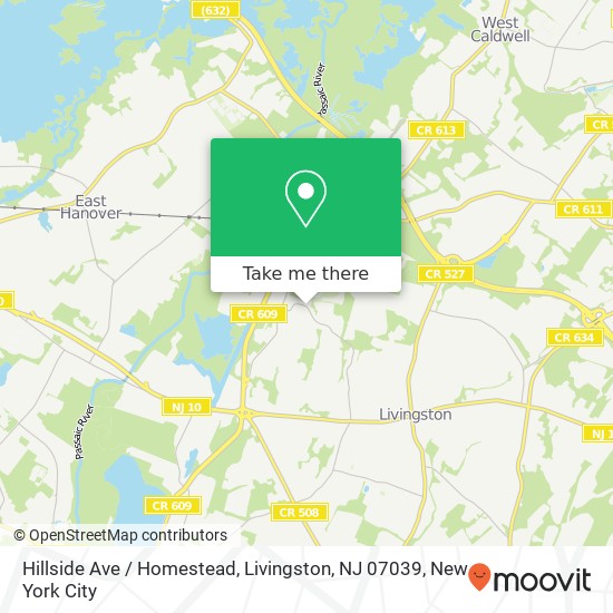 Hillside Ave / Homestead, Livingston, NJ 07039 map