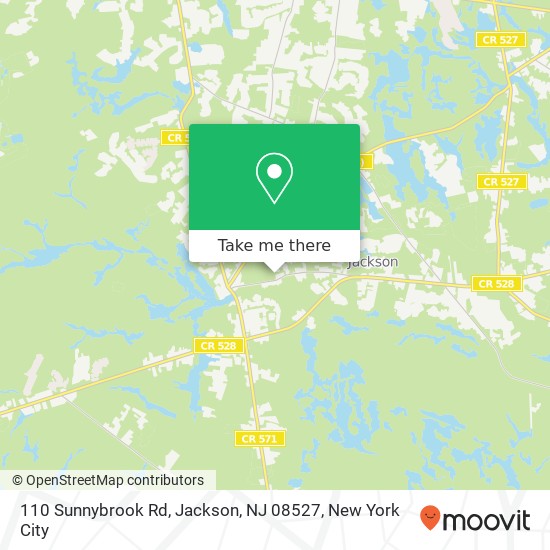 110 Sunnybrook Rd, Jackson, NJ 08527 map