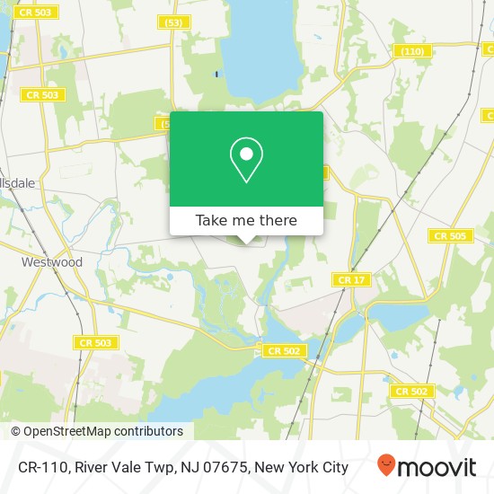 Mapa de CR-110, River Vale Twp, NJ 07675