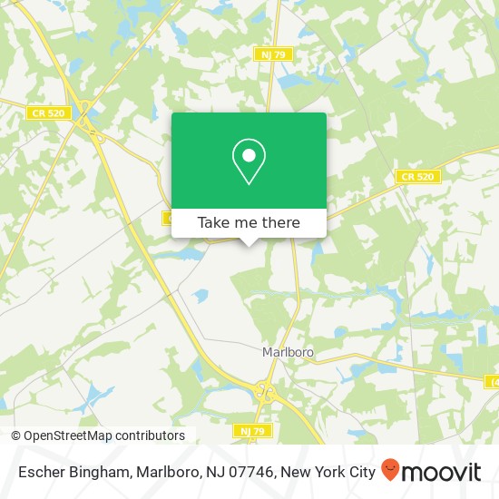 Escher Bingham, Marlboro, NJ 07746 map