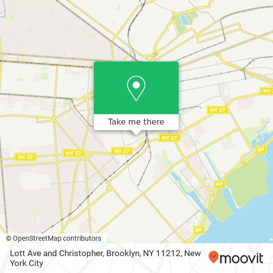 Lott Ave and Christopher, Brooklyn, NY 11212 map