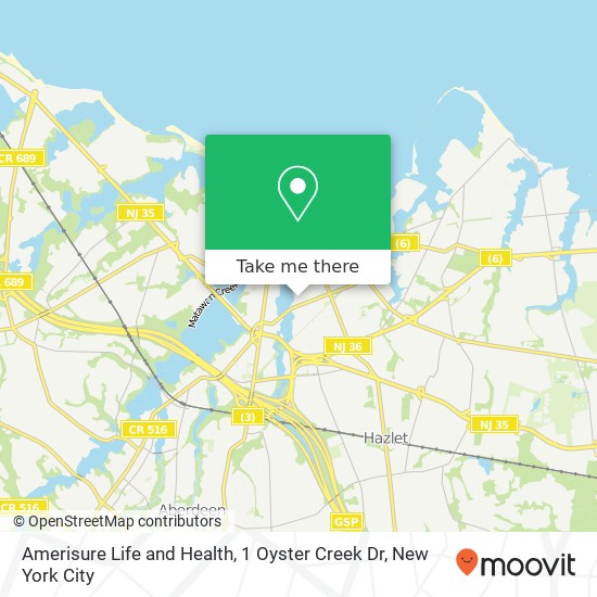Amerisure Life and Health, 1 Oyster Creek Dr map
