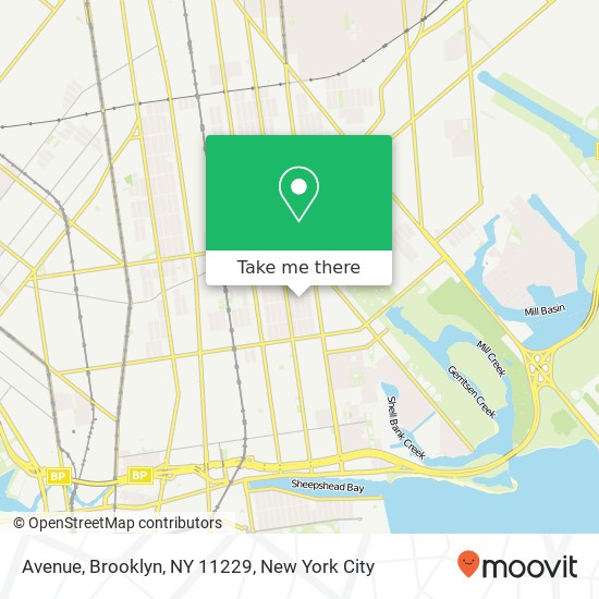 Mapa de Avenue, Brooklyn, NY 11229