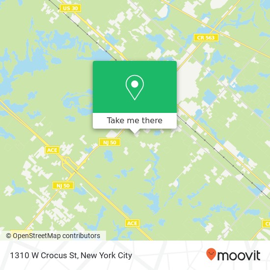 Mapa de 1310 W Crocus St, Egg Harbor City, NJ 08215