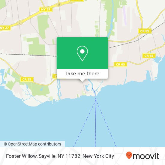 Foster Willow, Sayville, NY 11782 map