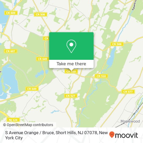 Mapa de S Avenue Orange / Bruce, Short Hills, NJ 07078