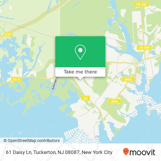 Mapa de 61 Daisy Ln, Tuckerton, NJ 08087