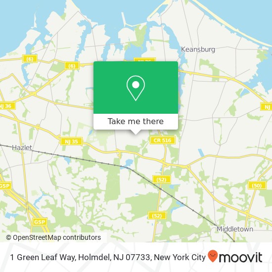 1 Green Leaf Way, Holmdel, NJ 07733 map